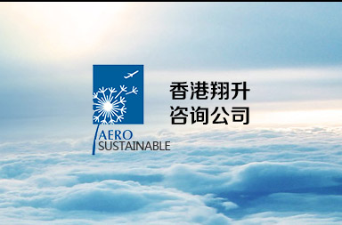 航空公司網(wǎng)站建設,咨詢公司網(wǎng)站制作開發(fā)